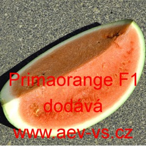 Meloun vodní hybridní Primaorange F1