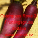 Ředkev setá Ostergruss Rosa 2/Frühlingsgruss