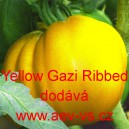 Rajče tyčkové Yellow Gazzi Ribbed