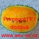 Meloun vodní hybridní Primagold F1
