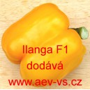 Paprika roční zeleninová hybridní Ilanga F1