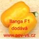 Paprika roční zeleninová hybridní Ilanga F1