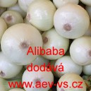 Cibule jarní kuchyňská Alibaba
