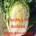 Pekingské zelí hybridní Pacifiko F1
