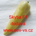 Paprika roční zeleninová hybridní Skytia F1