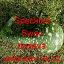 Lagenárie kalabasa Speckled Swan