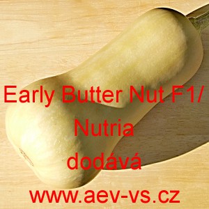 Tykev pižmová muškátová hybridní Early Butter Nut F1/Nutria