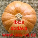 Tykev pižmová muškátová Ibiza