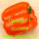 Paprika roční zeleninová hybridní Delirio F1 