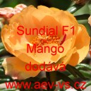 Šrucha velkokvětá Sundial F1 Mango