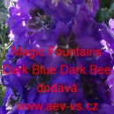 Ostrožka vyvýšená Magic Fountains Dark Blue Dark Bee