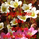 Lomikámen Arendsův Highlander Mix