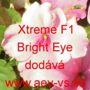 Netýkavka turecká, sultánská, ančička, sultánka nebo i pilná lízinka Xtreme F1 Bright Eye