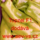 Paprika roční zeleninová hybridní Topzel F1