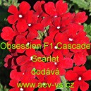 Sporýš zahradní, zkřížený Obsession F1 Cascade Scarlet