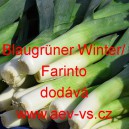 Pór zahradní Blaugrüner Winter/Farinto