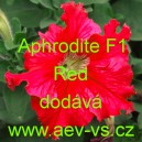 Petúnie velkokvětá třepenitá Aphrodite F1 Red