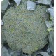 Brokolice hybridní Mclaren