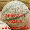 Meloun cukrový hybridní Artémis F1 (typ Charentais)