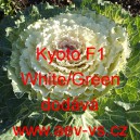 Okrasné zelí, brukev zelná Kyoto F1 White/Green