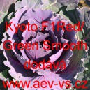 Okrasné zelí, brukev zelná Kyoto F1 Red/Green Smooth Leaf