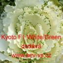 Okrasné zelí, brukev zelná Kyoto F1 White/Green