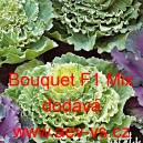 Okrasné zelí, brukev zelná Bouquet F1 Mix