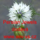 Černucha damašská Persian Jewels