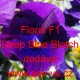 Violka ostruhatá Floral F1 Deep Blue Blotch