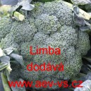 Brokolice Limba