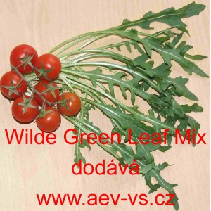 Křez tenkolistý Wilde Green Leaf Mix