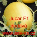 Meloun cukrový hybridní Jucar F1 (typ galia)