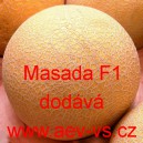 Meloun cukrový hybridní Masada F1 (typ galia)