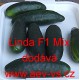 Okurka setá salátová hybridní Linda F1 Mix