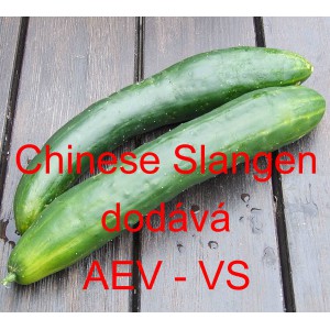 Okurka setá salátová čínská Chinese Slangen