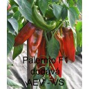 Paprika roční zeleninová hybridní Palermo F1 (Italien Dulce)