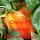 Paprika roční zeleninová hybridní Oreny F1