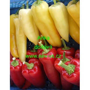 Paprika roční zeleninová Anka