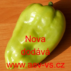 Paprika roční zeleninová Nova