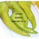 Paprika roční zeleninová Johana