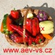 Paprika roční zeleninová hybridním zahraniční do skleníku EU F1 Mix