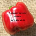 Paprika roční zeleninová California Wonder