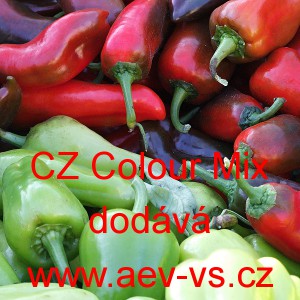 Paprika roční zeleninová CZ Colour Mix