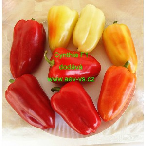 Paprika roční zeleninová hybridní Cynthia F1