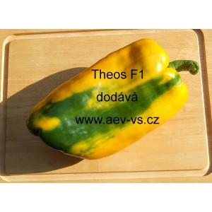 Paprika roční zeleninová hybridní Theos F1