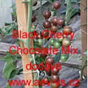 Rajče tyčkové Black Cherry Chocolate Mix