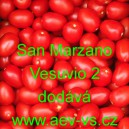 Rajče tyčkové San Marzano Vesuvio 2