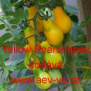 Rajče tyčkové Yellow Pearshaped