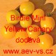 Rajče balkonové Birdie Mini Yellow Canary