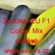Tykev obecná cuketa hybridní Zucchini EU F1 Colour Mix